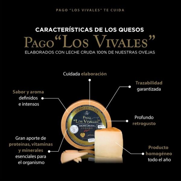 Queso de oveja curado leche cruda Pago los Vivales pieza entera corteza natural