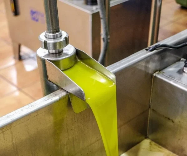 aceite-aljaoliva-sin-filtrar-6 Aceite de Oliva Virgen Extra Sin Filtrar